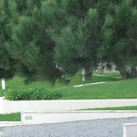 Ξενοδοχείο Osanto Residencial Geriatrica Praia das Maçãs